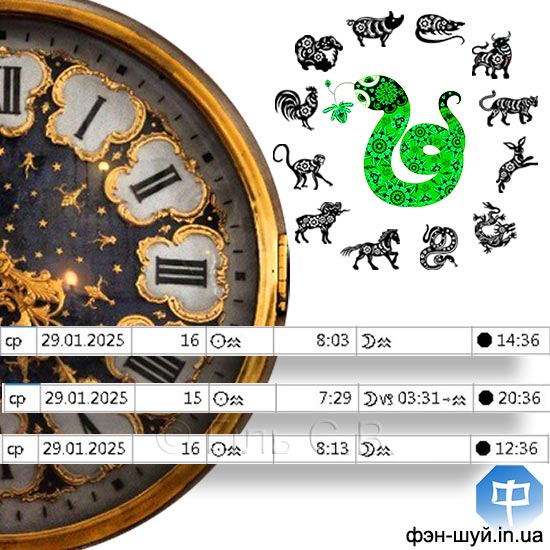 год змеи начнется, точное время год древесной змеи, восточный гороскоп древесной змеи, год древесной змеи, гороскоп в год зеленой змеи, китайский гороскоп 2025, восточный гороскоп, успех зеленой змеи, удача древесной змеи