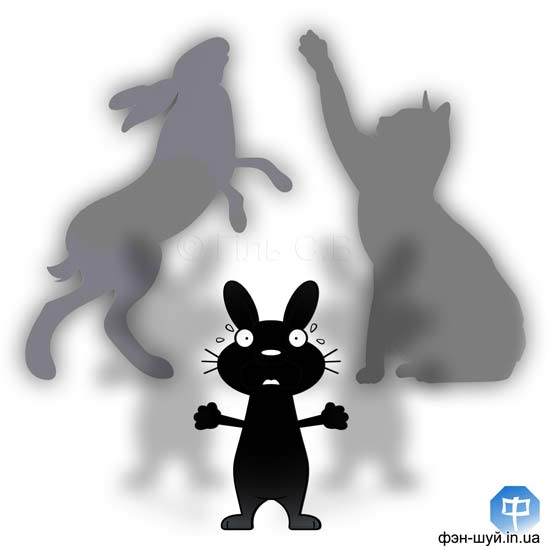 #чому_кролик #рік_кота_зайця #хто_краще #управитель_року #2023_кролика #феншуй_кота #китайський_рік_кролика #чорний_кролик #вибрати_тварину_року