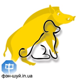11-dog-sobaka-goroskop-2019.jpg