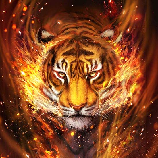 червоний вогненний тигр, удача тигра, східний гороскоп тигри, народжені рік червоного тигри, китайський календар вогненний тигр, східний гороскоп червоного тигра, коли народився тигр, де успішні тигрів