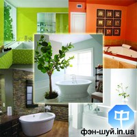 туалет по фен-шуй, дизайн санвузла, оформлення туалету, дизайн ванни, колір матеріал, оформити феншуй, санвузол по фен-шуй